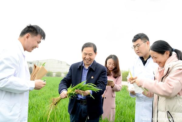 麥田上課，康振生院士開講保障糧食安全.jpg