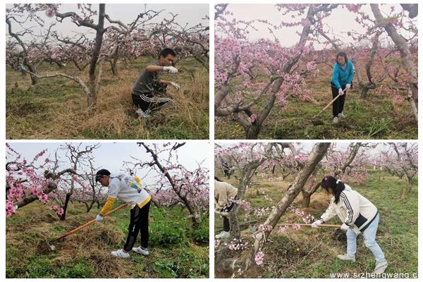走進桃園，上勞動體驗與園藝療愈的田間課.jpg